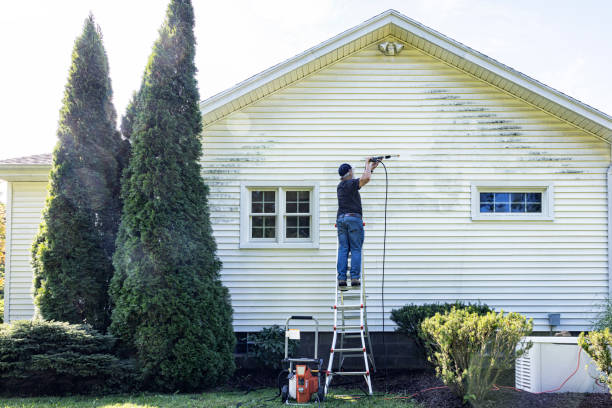 Best Affordable Power Washing  in Lake Orion, MI