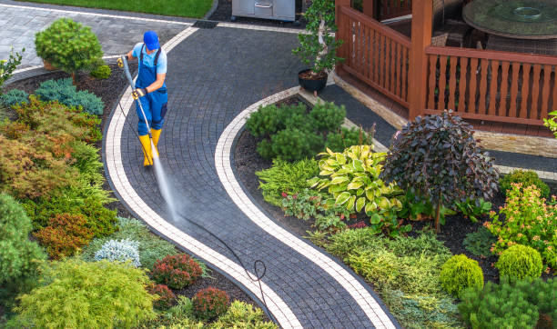Best Roof Power Washing Services  in Lake Orion, MI